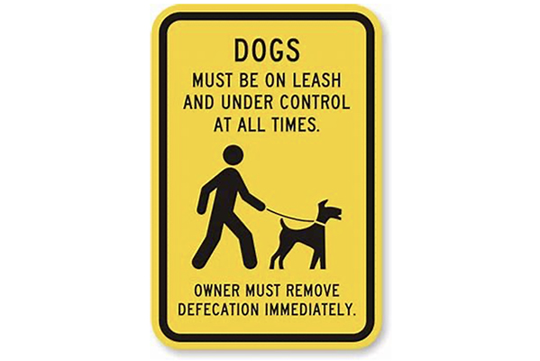 Dogs Without a Leash